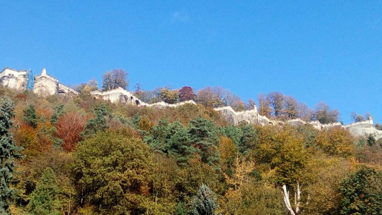 Ferienwohnung Sorgatz Königstein an der Elbe Exteriör bild